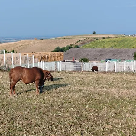 La Roulotte Des Bougnats * Teilhede